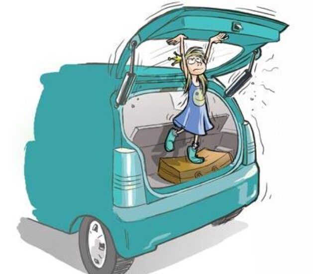 Sunshine Struts Gas Strut Repairs